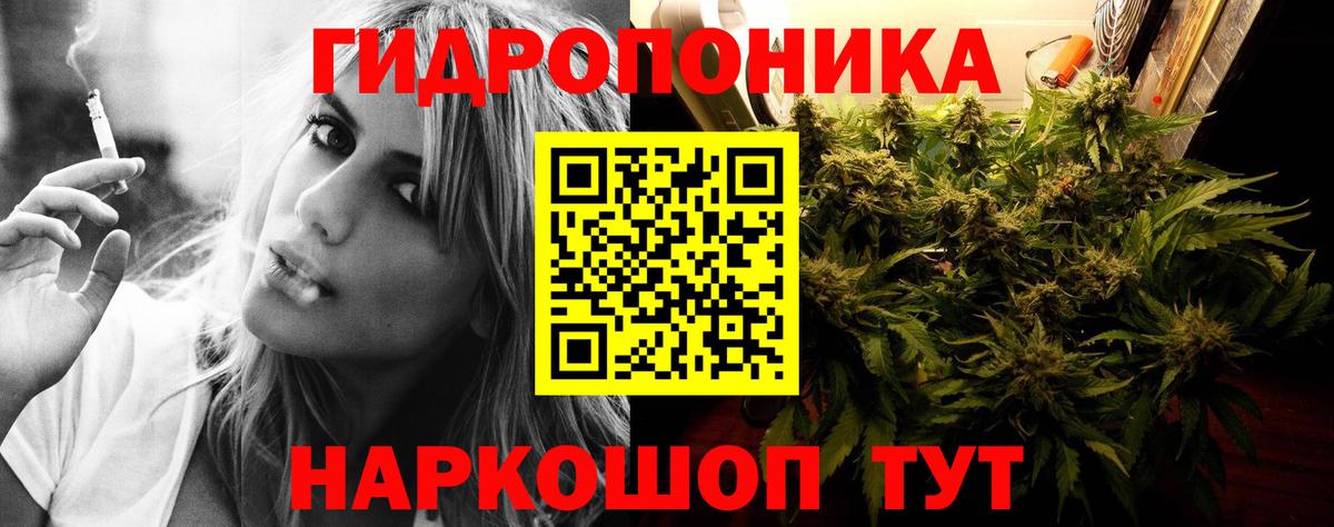 Бошки Шишки сатива  Канабис планчик  Канабис план  Россия  Бошки марихуана план  Вход с VPN 